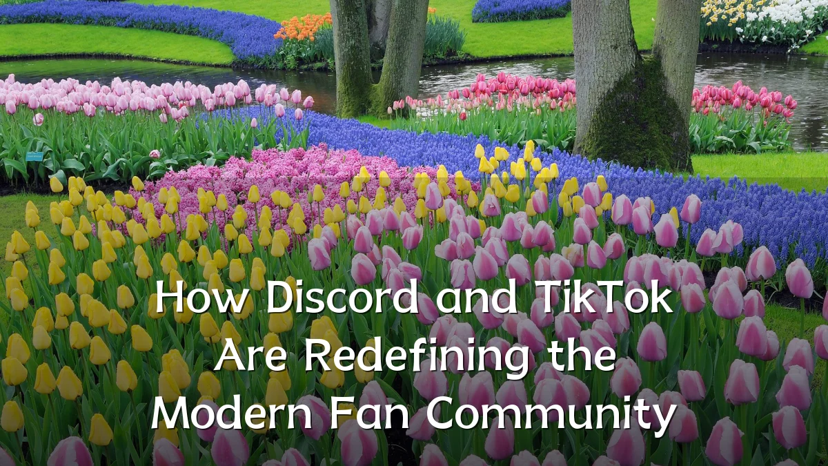 How Discord and TikTok Are Redefining the Modern Fan Community