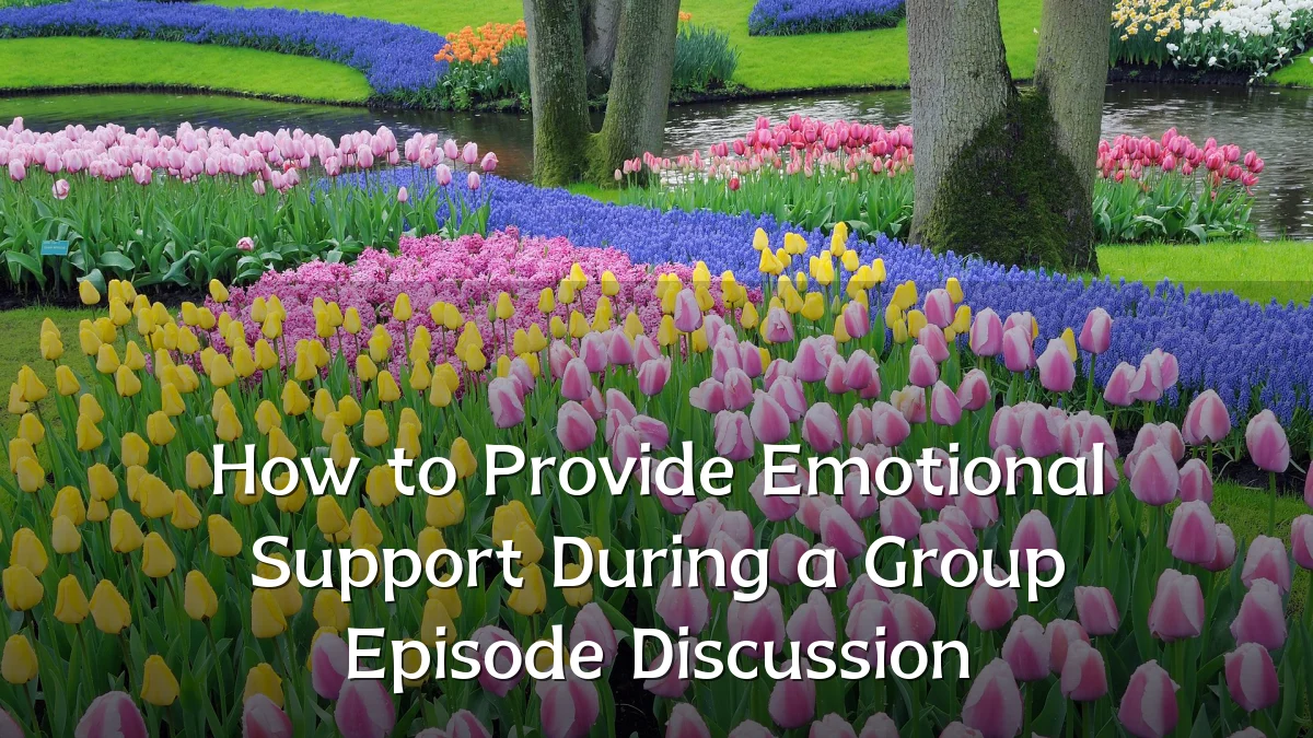 How to Provide Emotional Support During a Group Episode Discussion