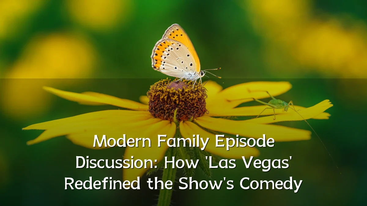 Modern Family Episode Discussion: How 'Las Vegas' Redefined the Show's Comedy