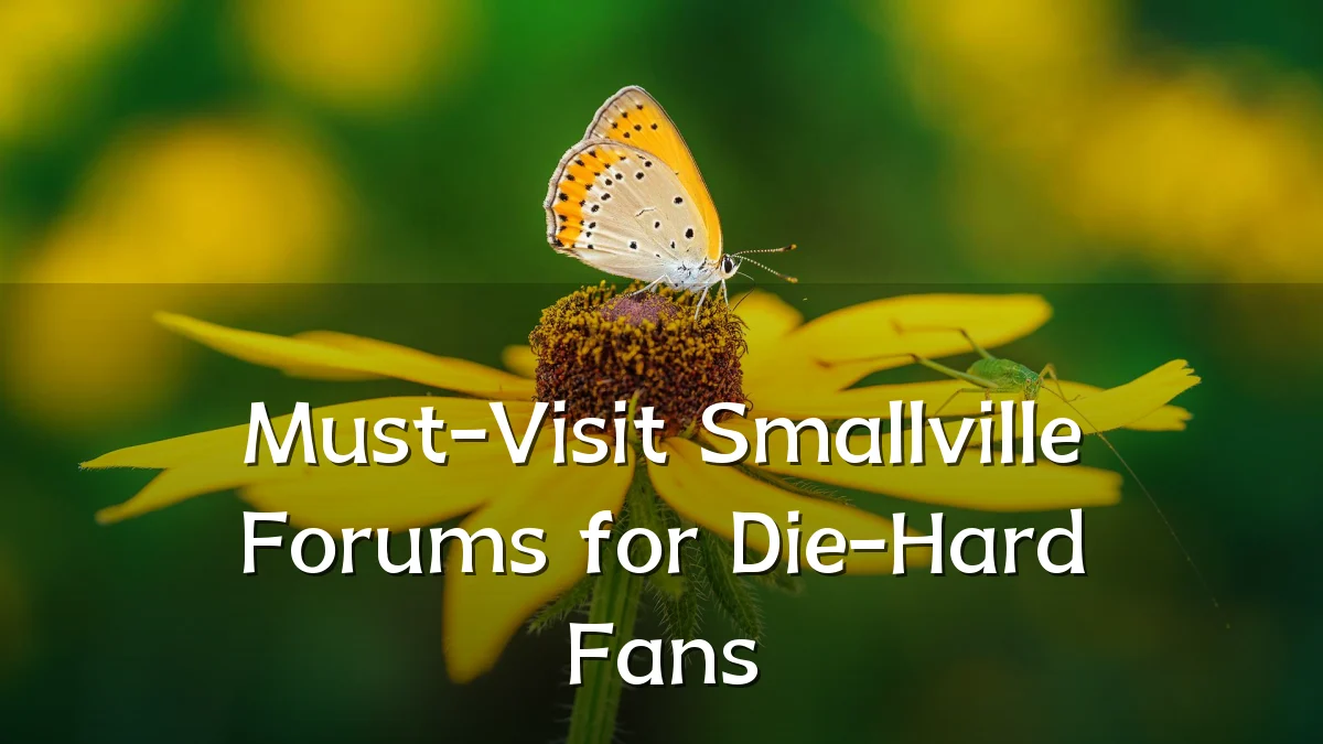 Must-Visit Smallville Forums for Die-Hard Fans