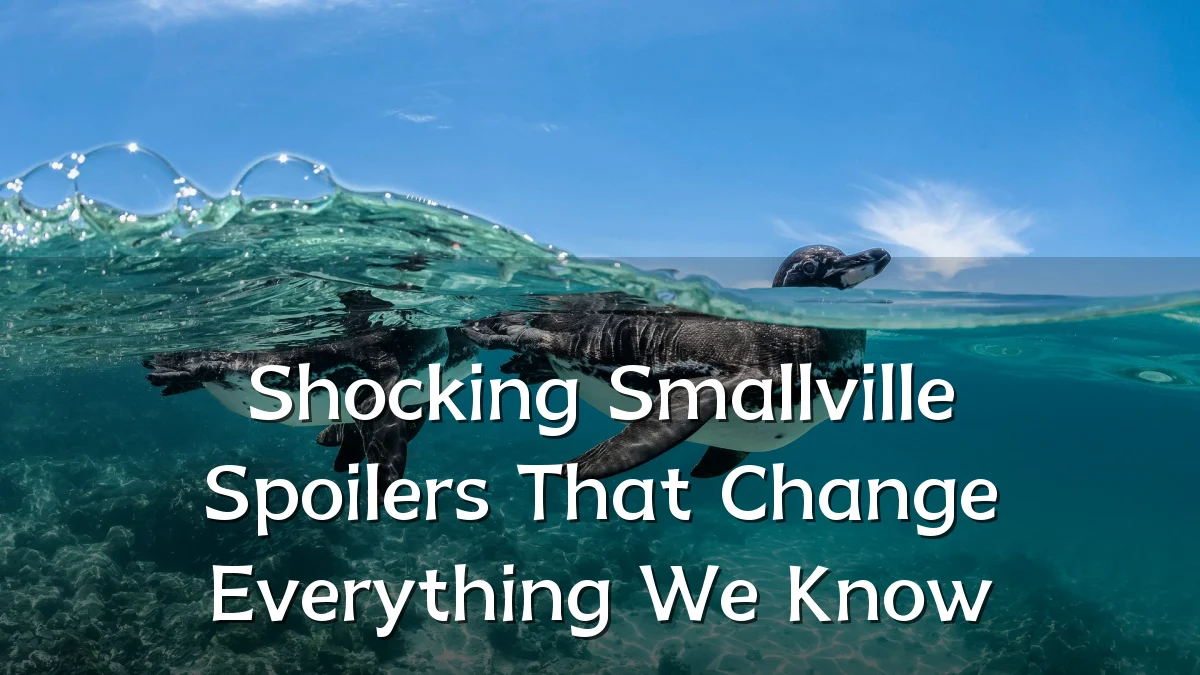 Shocking Smallville Spoilers That Change Everything We Know