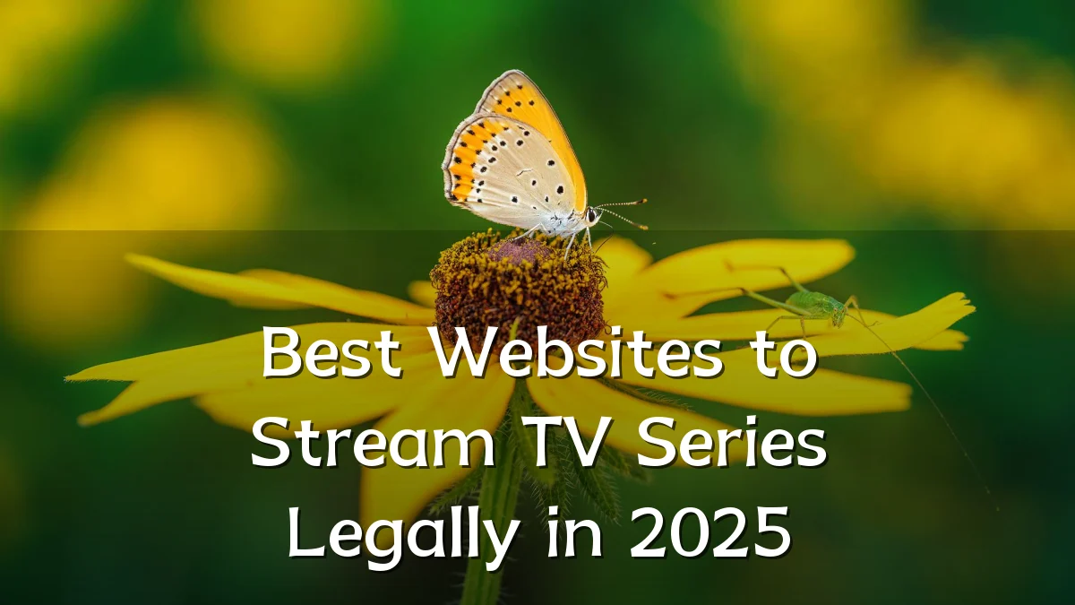Best Websites to Stream TV Series Legally in 2025