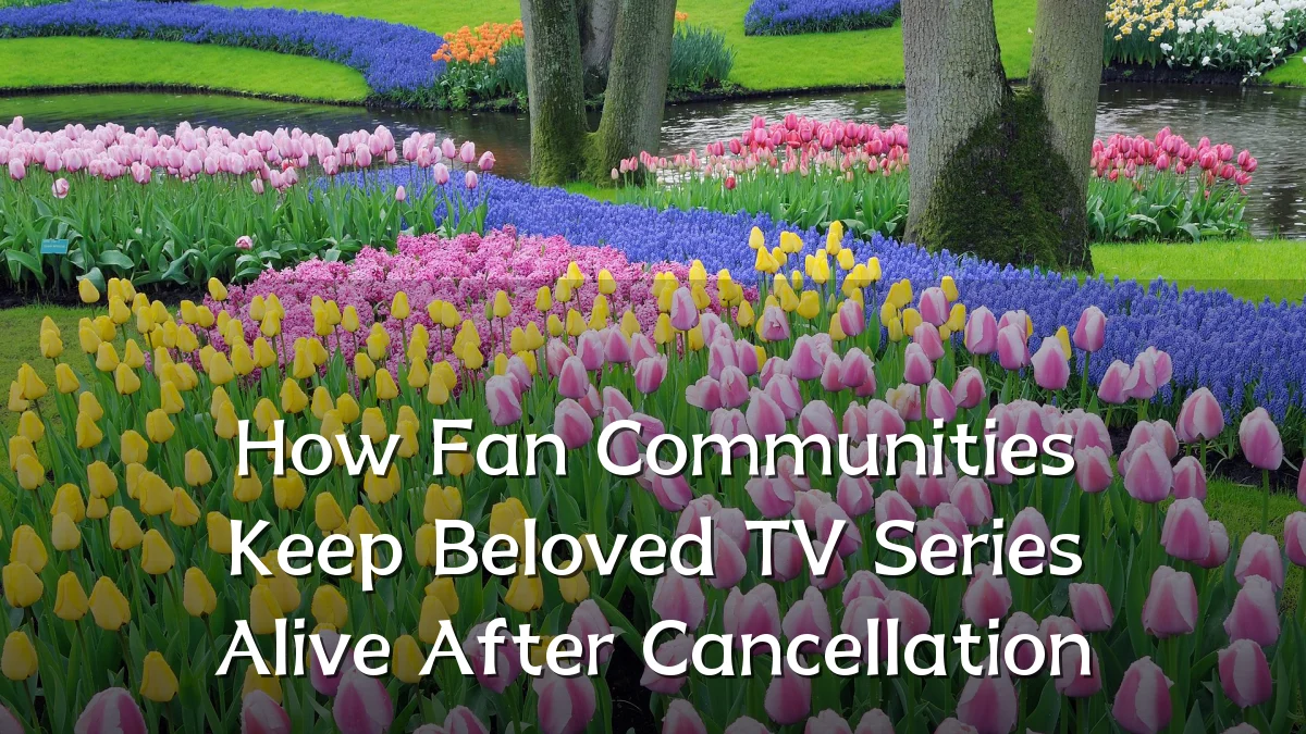 How Fan Communities Keep Beloved TV Series Alive After Cancellation