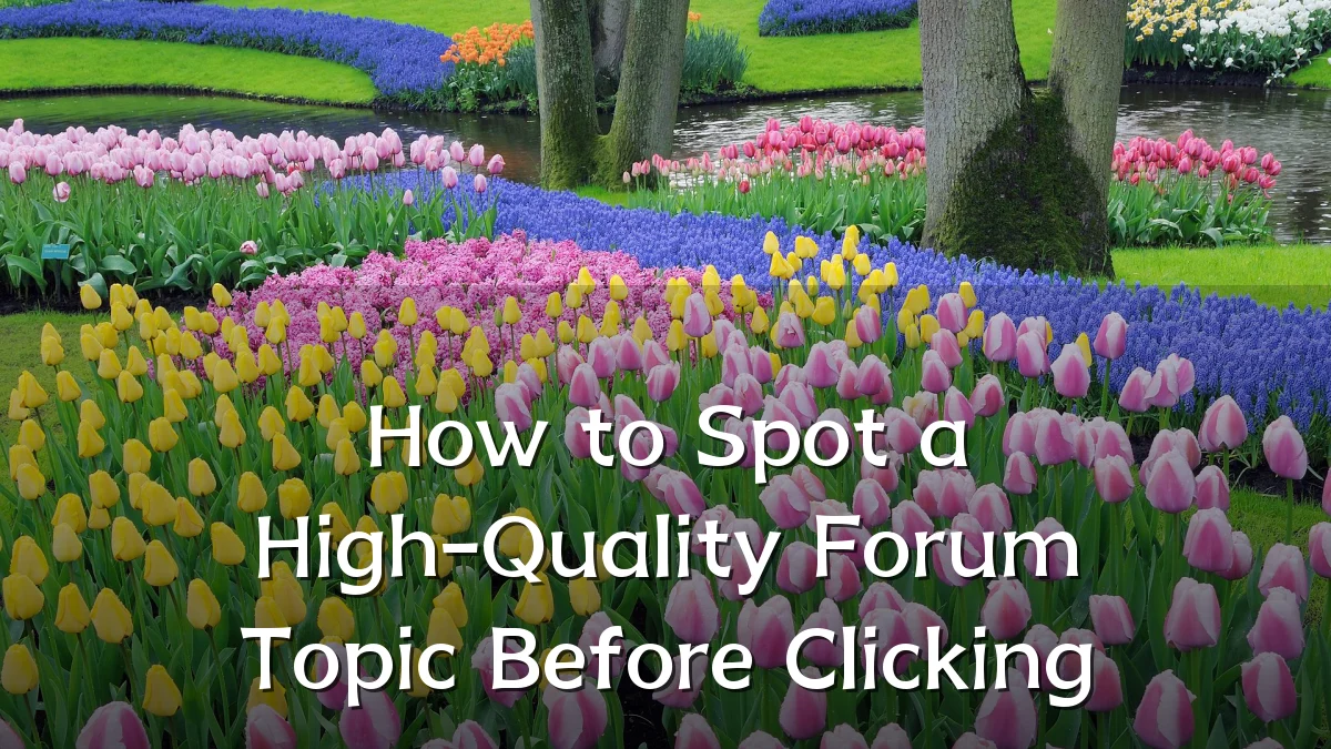 How to Spot a High-Quality Forum Topic Before Clicking