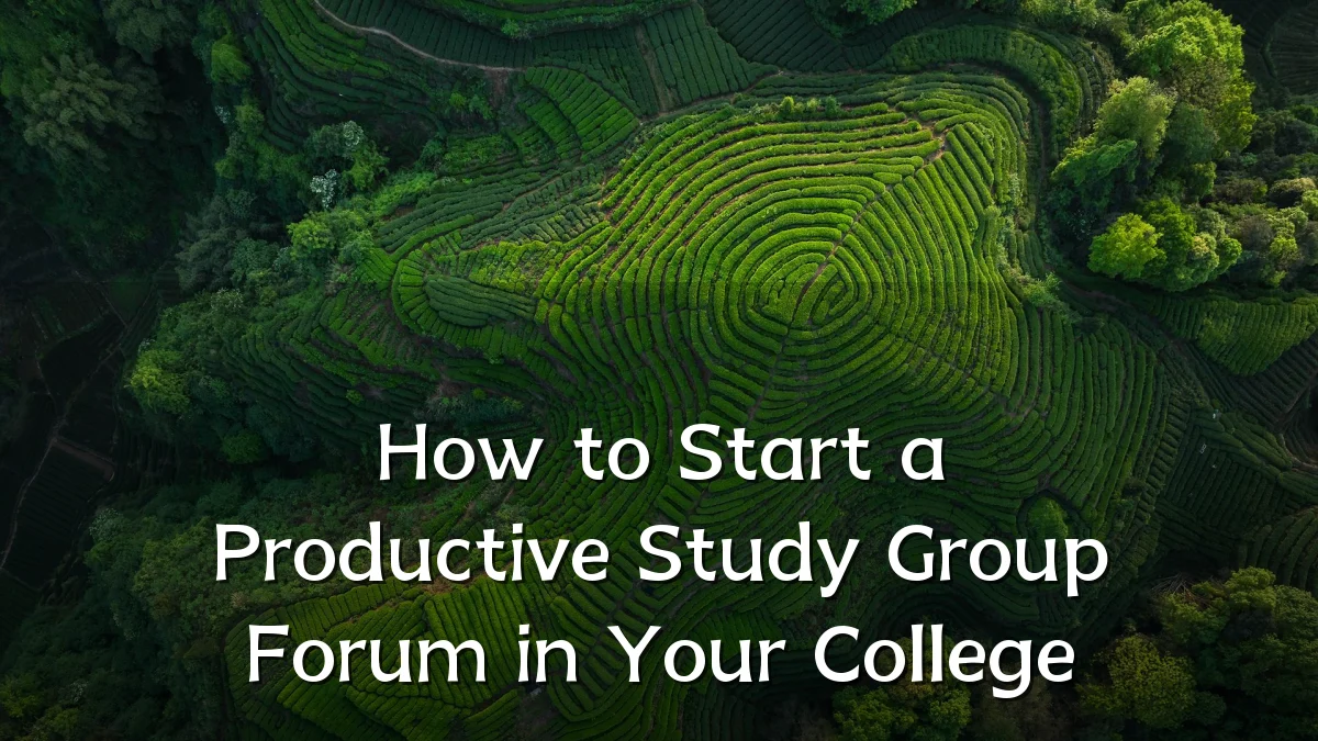 How to Start a Productive Study Group Forum in Your College
