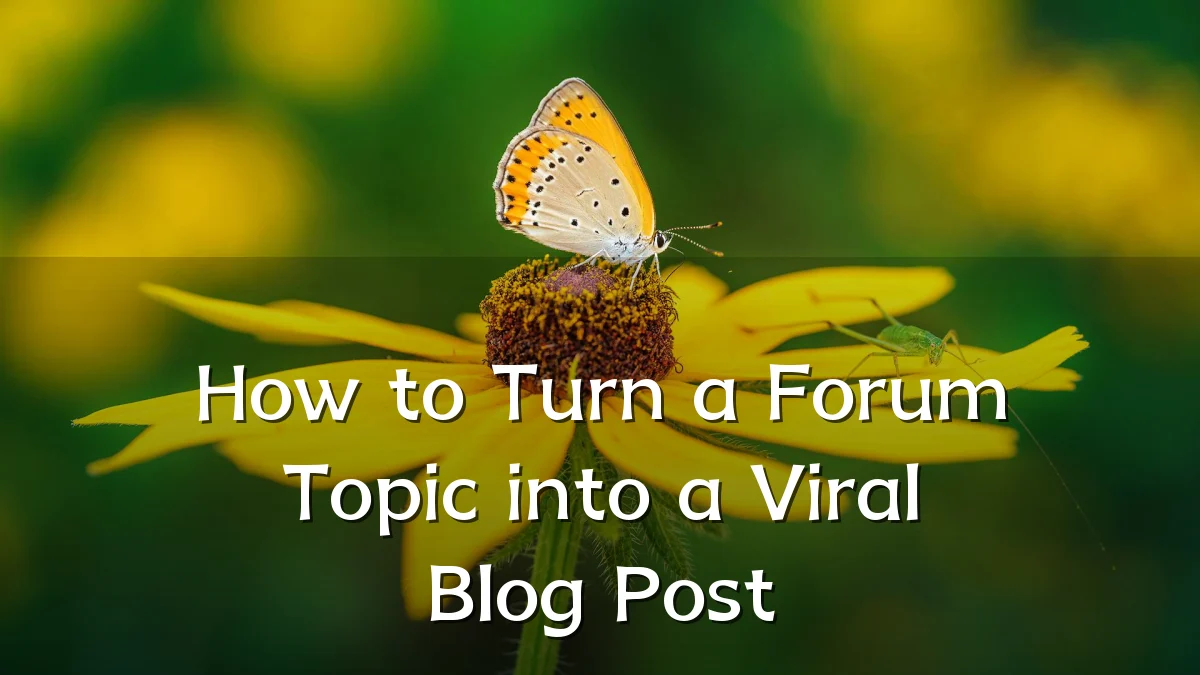How to Turn a Forum Topic into a Viral Blog Post