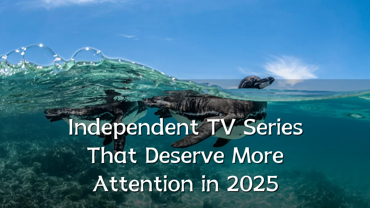 Independent TV Series That Deserve More Attention in 2025