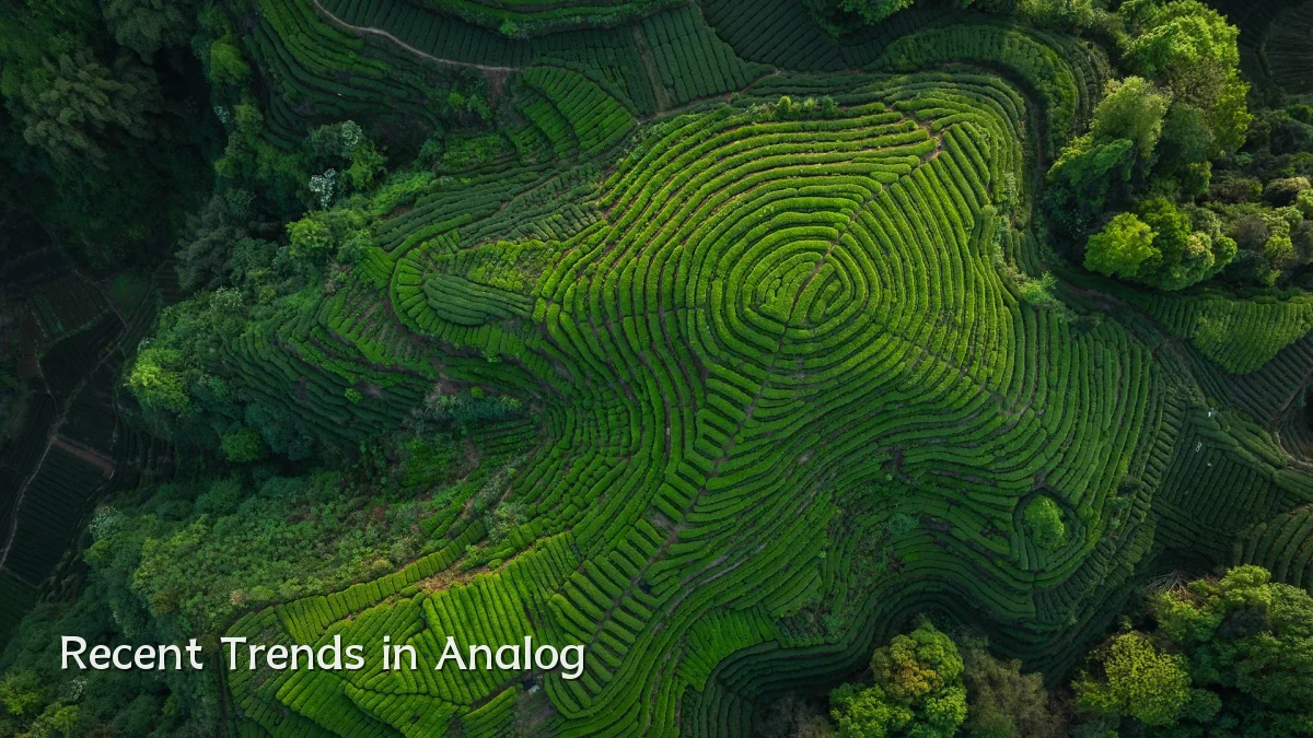 Recent Trends in Analog