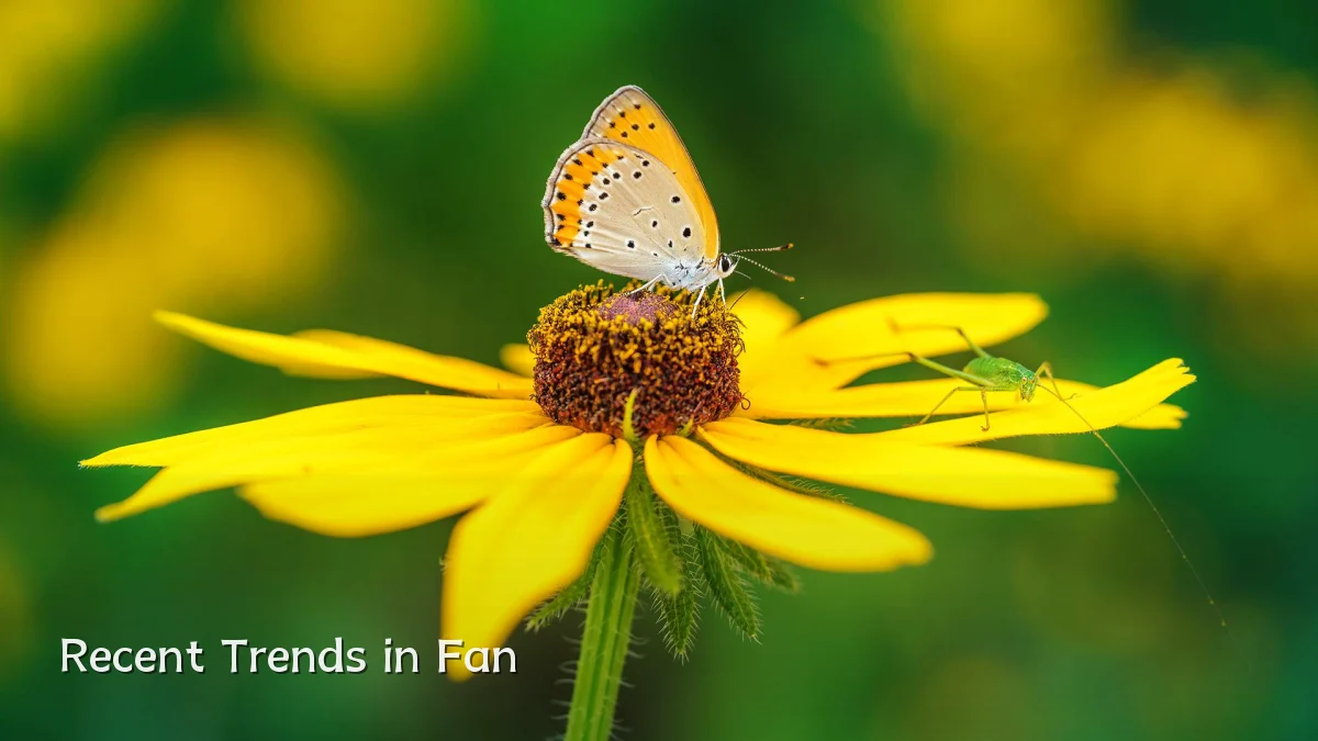 Recent Trends in Fan