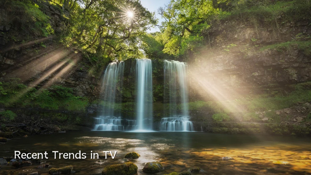 Recent Trends in TV
