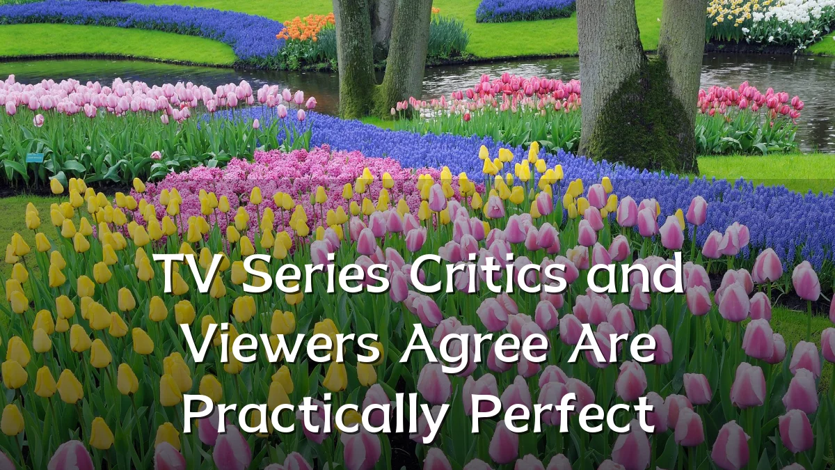 TV Series Critics and Viewers Agree Are Practically Perfect