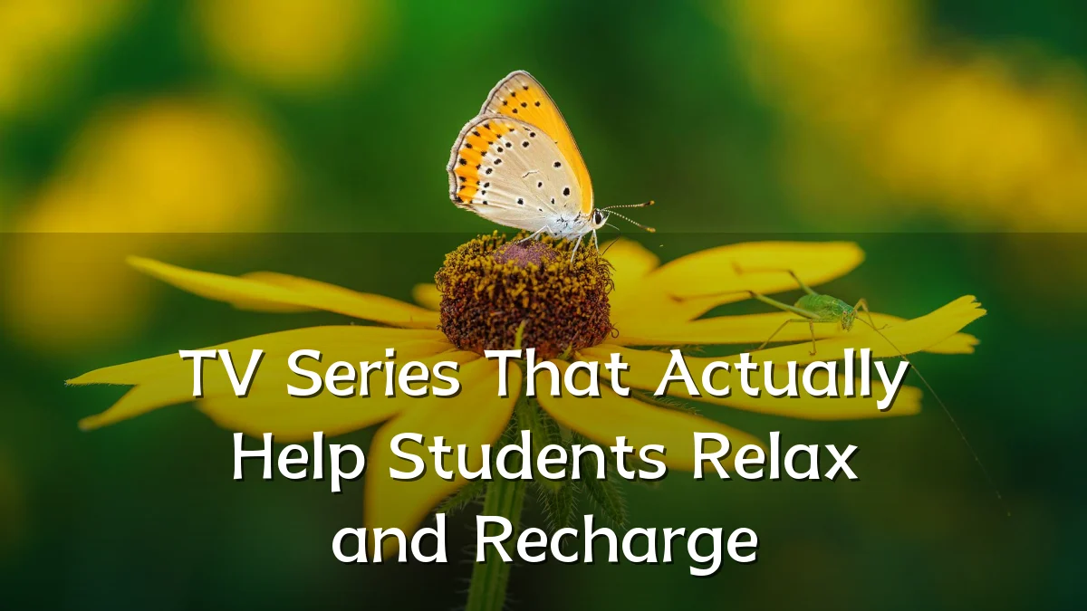 TV Series That Actually Help Students Relax and Recharge