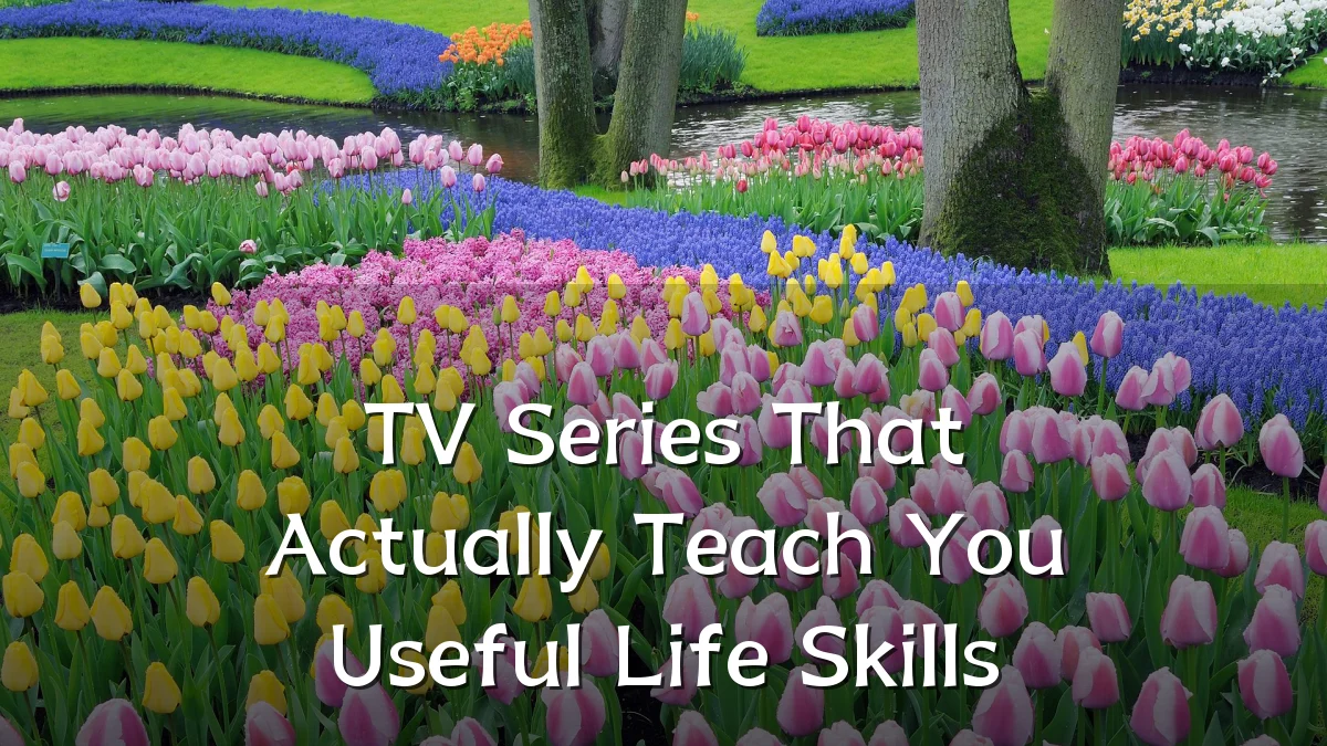 TV Series That Actually Teach You Useful Life Skills