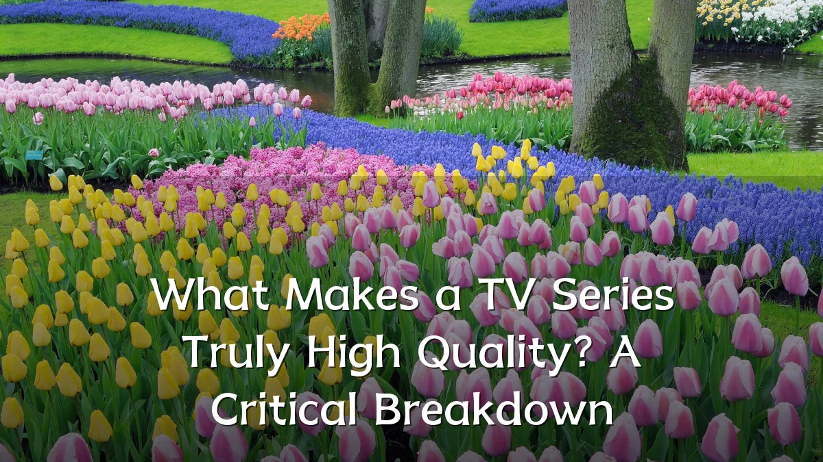 What Makes a TV Series Truly High Quality? A Critical Breakdown