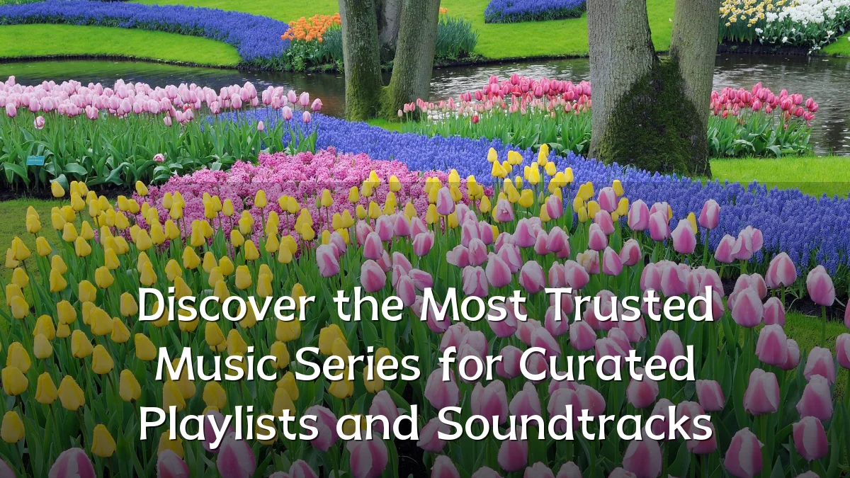 Discover the Most Trusted Music Series for Curated Playlists and Soundtracks
