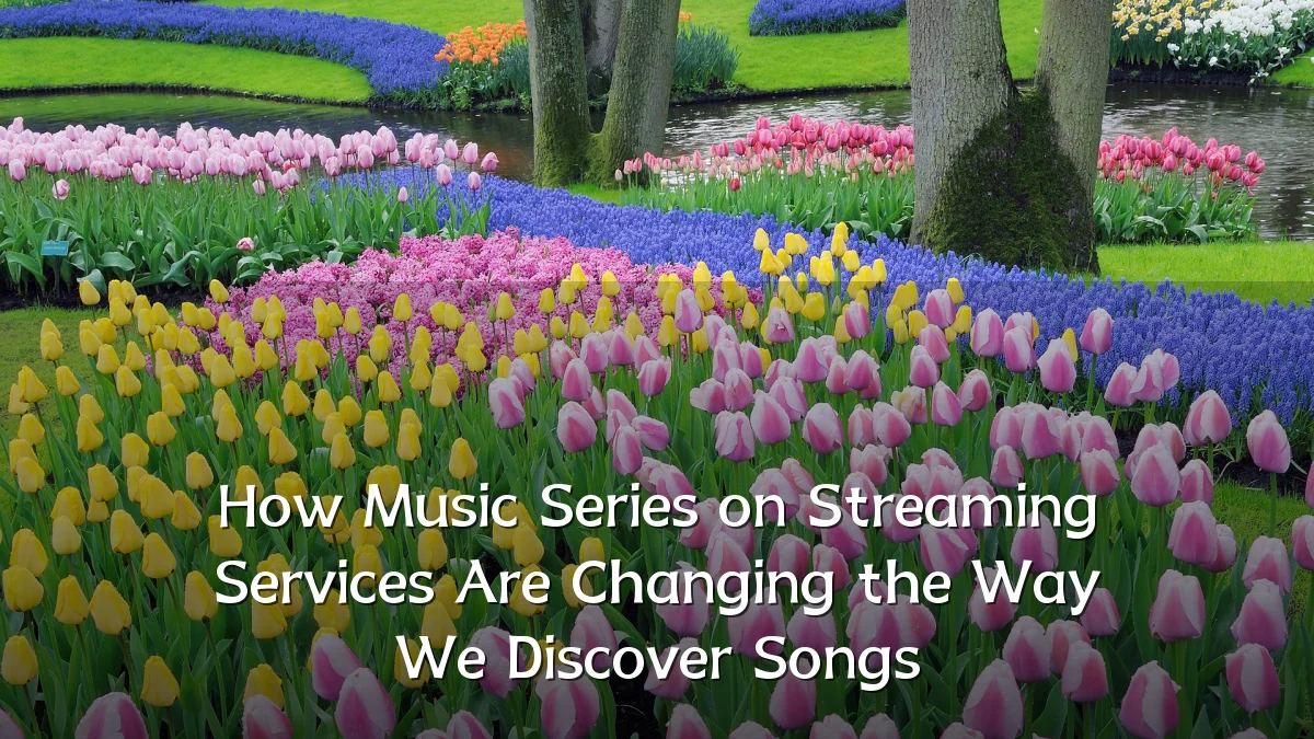 How Music Series on Streaming Services Are Changing the Way We Discover Songs