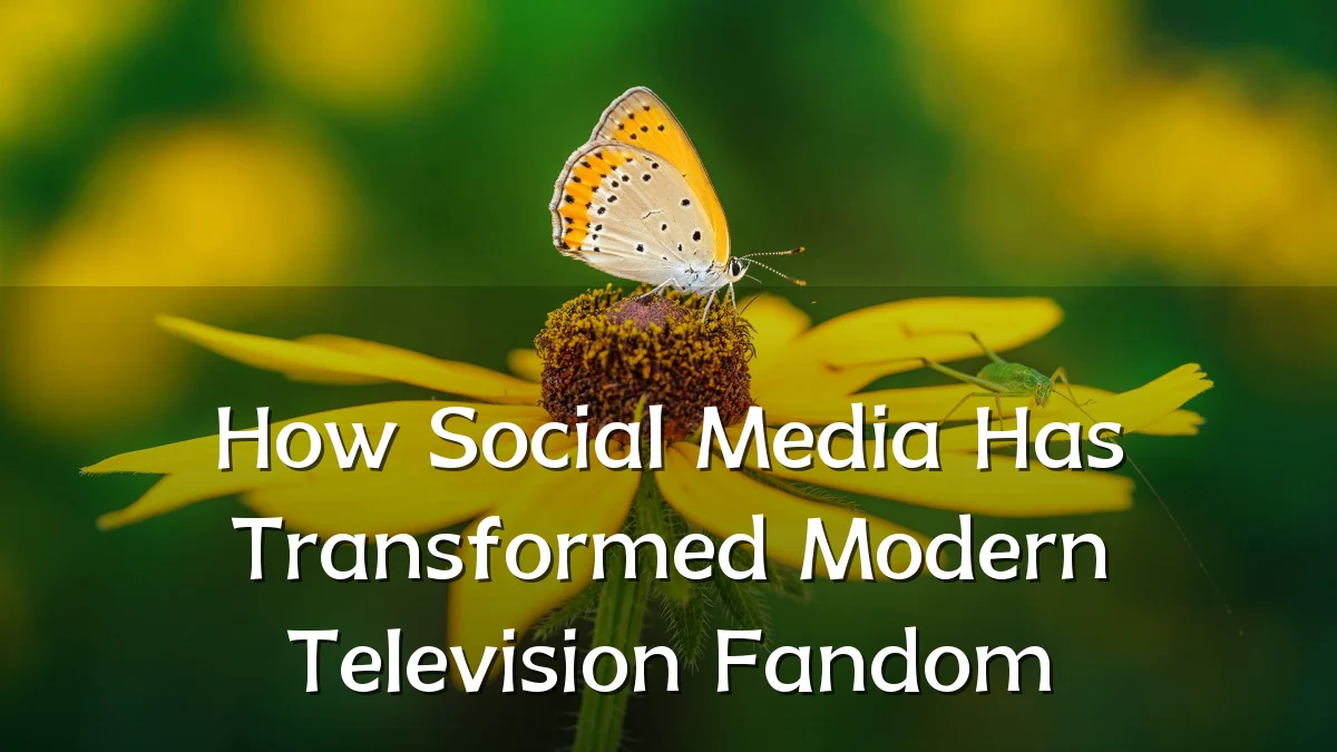 How Social Media Has Transformed Modern Television Fandom